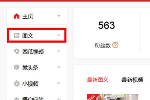 文章评论怎么发到头条,如何撰写引人注目的文章副标题