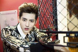 女明星男明星区别,女明星与男明星的别样风采