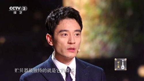 国家宝藏  明星,璀璨星光下的文化传承之旅