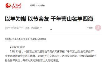 头条评估报告,揭秘行业趋势与品牌价值