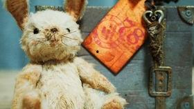 网红兔缝合视频,一场治愈系的视觉盛宴