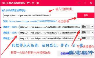 今日头条视频解析工具,轻松获取热门视频内容