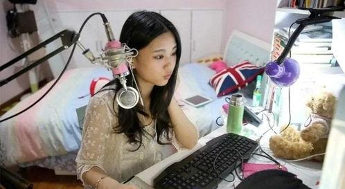 国产网红主播400部,400部作品背后的辉煌与成长