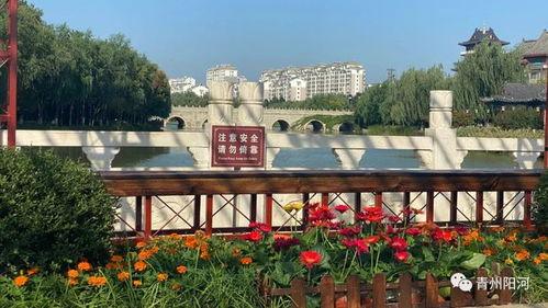 青州哪里有网红打卡的,探寻古城新潮流的必游清单