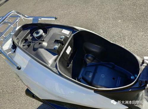 本田 明星 减震,驾驭巅峰，尽享舒适之旅