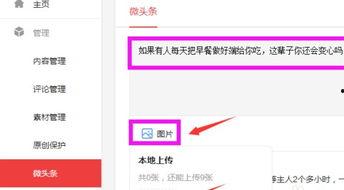 微头条怎么发单张大图,轻松打造吸睛视觉盛宴