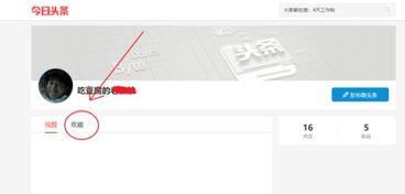 今日头条查看全部收藏,热门话题深度解析