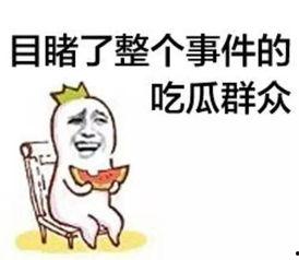 胖哥吃瓜群众,揭秘娱乐圈幕后故事