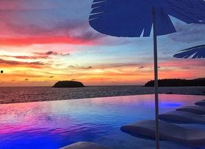 温瑰丽网红,网红界的璀璨明星