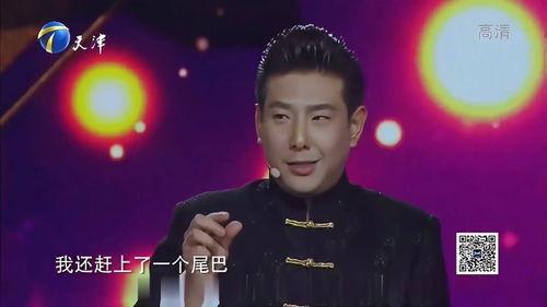 明星杨凯,星光璀璨的演艺之路