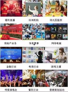 网红直播招聘咨询,直播咨询，求职新体验