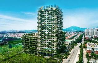 沧州碧桂园最新爆料新闻,揭秘项目最新进展与亮点