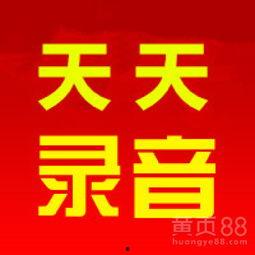 网红小吃广告录音怎么录,揭秘热门美食背后的魅力瞬间