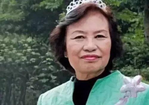 香港明星丑角,香港明星丑角传奇