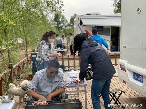 吴忠盐池网红,探寻吴忠盐池的网红打卡地