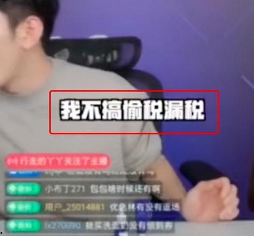 网红能挣几十亿吗,揭秘年收入数十亿的神话