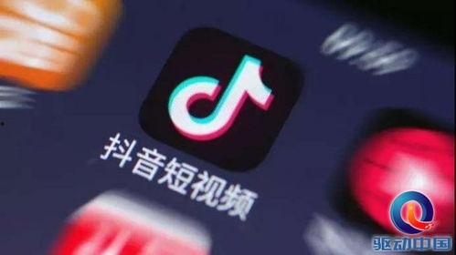 武汉抖音新闻爆料入口,见证城市脉搏，共筑美好家园”