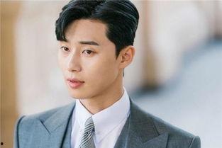 韩国明星李成功,韩国娱乐圈的璀璨明星之路