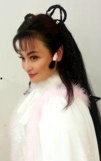 我不是明星王璐瑶,王璐瑶的追梦之路