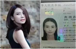 明星路照,揭秘明星路照背后的故事