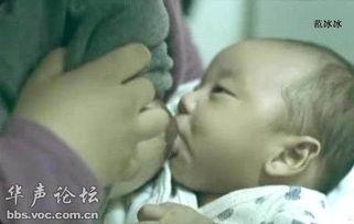 明星哺乳电影图,明星育儿风采大揭秘