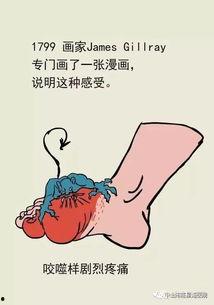 得痛风明星,揭秘明星们的痛症生活与健康管理之道