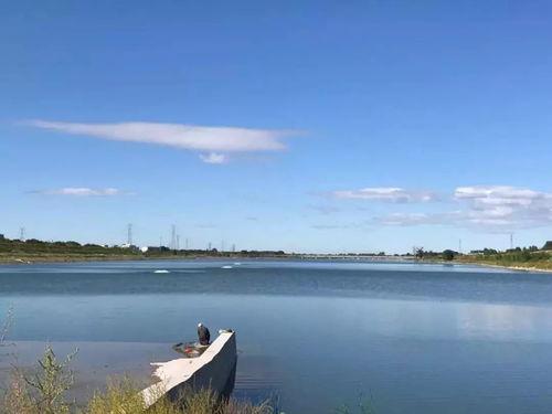 呼市大黑河今日头条