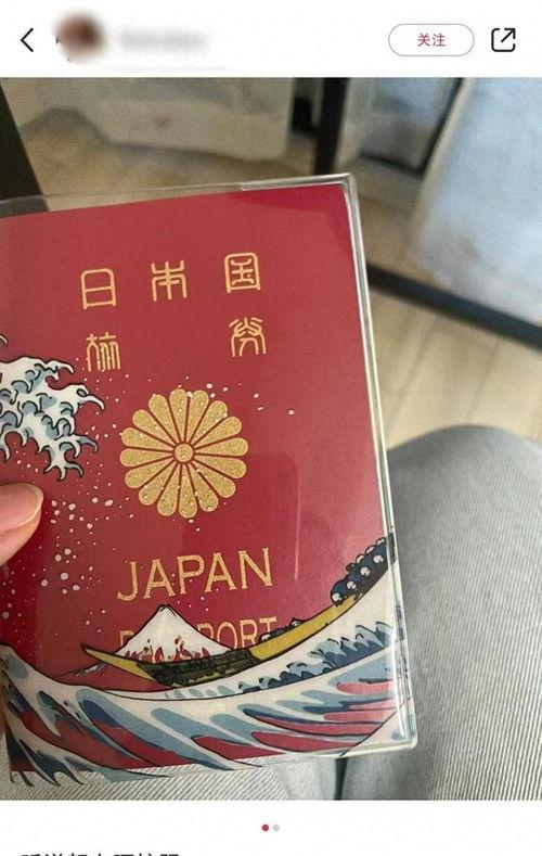 我国在日本的网红有多少,我国网红在日本的风采与影响力