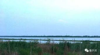 今日头条宽广的潮白河,宽广河域的生态画卷