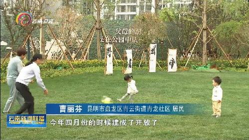 公园夜晚新闻头条