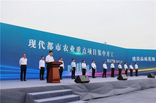 保定新发地今日头条,今日头条聚焦最新动态”