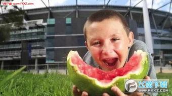 吃瓜胖男孩表情包,吃瓜胖男孩表情包的欢乐盛宴