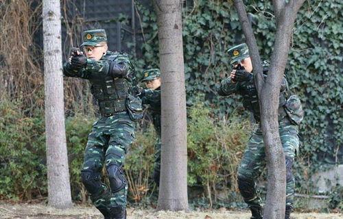 明星武警老公,揭秘明星武警老公的传奇人生