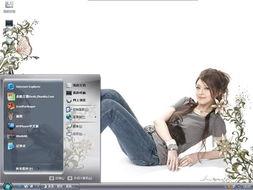 明星电脑技术,科技与娱乐的完美融合