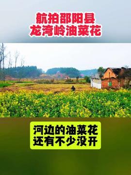 邵阳今日头条农村,乡村振兴下的新面貌