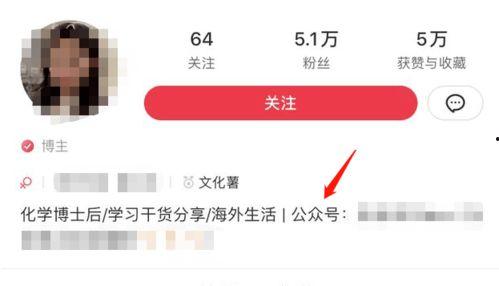 微头条卖货教学,微头条卖货达人教你轻松成为电商高手