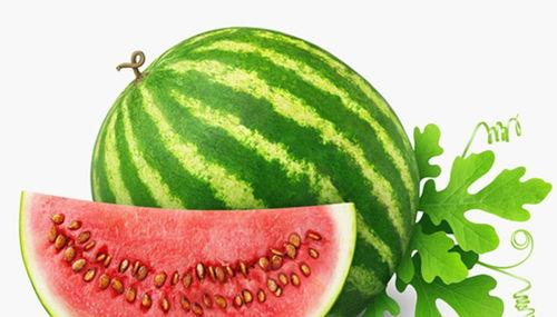 吃蒲瓜后肠胃痛,肠胃不适的警示与应对