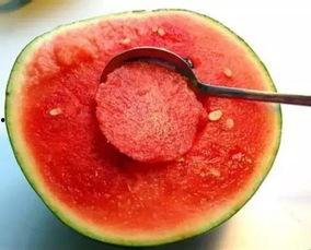 繁花里吃瓜视频,揭秘娱乐圈背后的秘密与八卦