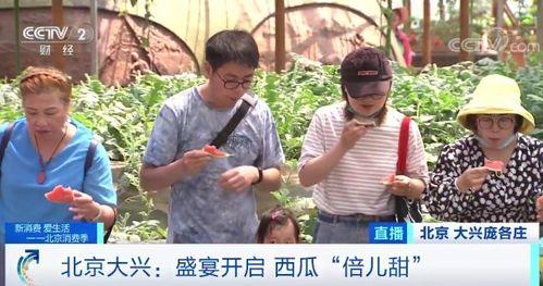 央视记者带你回家吃瓜,体验地道农家美食之旅