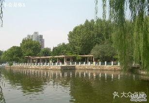 长风公园网红拍照,光影交织的梦幻摄影天堂